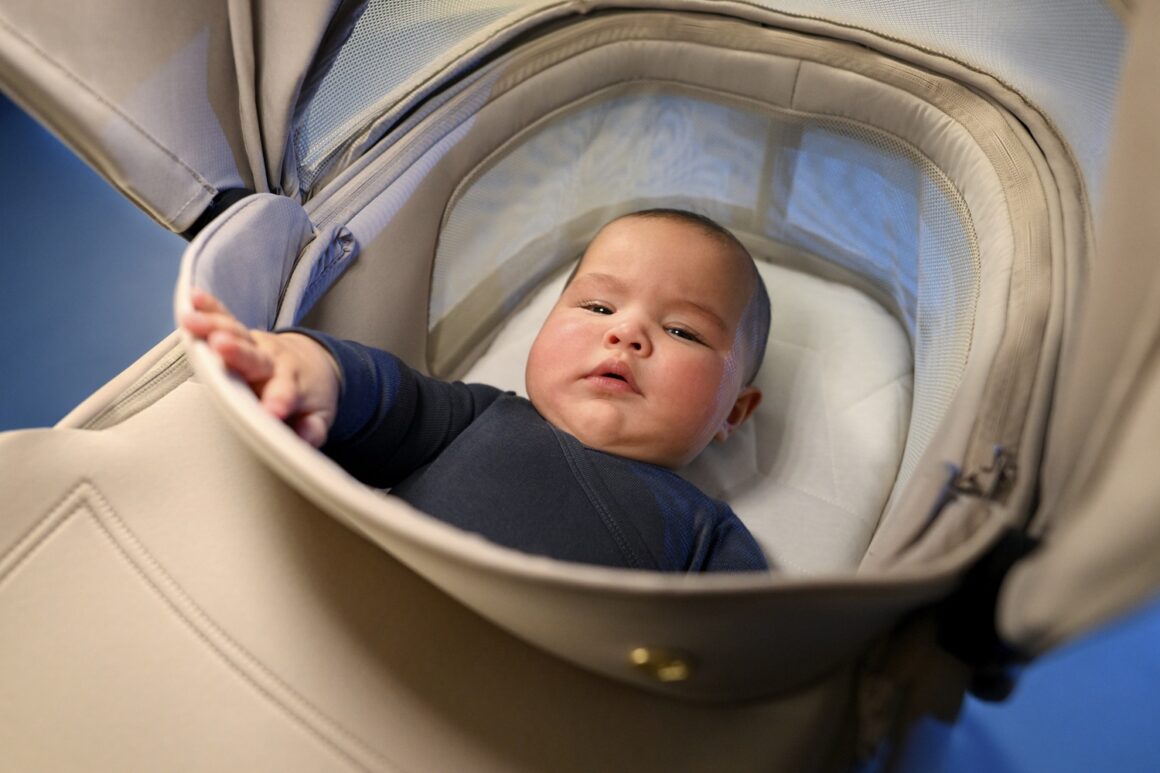 Hluboká korba do golfového kočárku Fame Cabin.